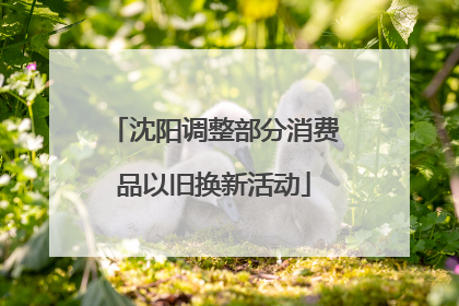 沈阳调整部分消费品以旧换新活动