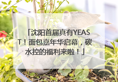 沈阳首届真有YEAST！面包嘉年华启幕，碳水控的福利来啦！