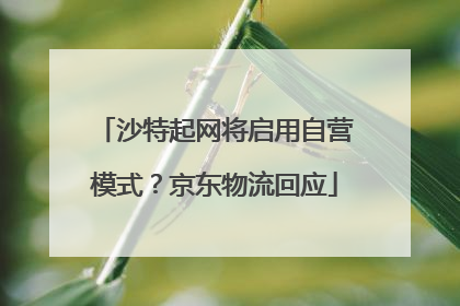 沙特起网将启用自营模式？京东物流回应