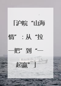沪皖“山海情”：从“拉一把”到“一起赢”