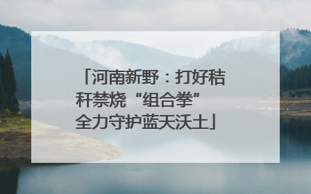 河南新野：打好秸秆禁烧“组合拳” 全力守护蓝天沃土