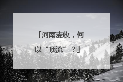 河南麦收，何以“顶流”？