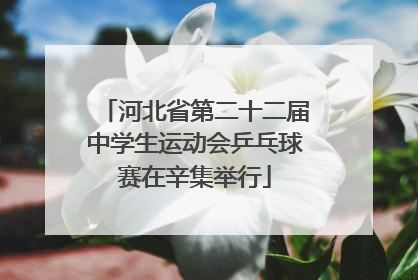 河北省第二十二届中学生运动会乒乓球赛在辛集举行