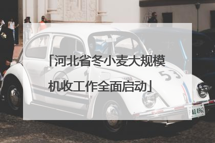 河北省冬小麦大规模机收工作全面启动