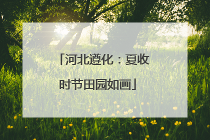 河北遵化：夏收时节田园如画