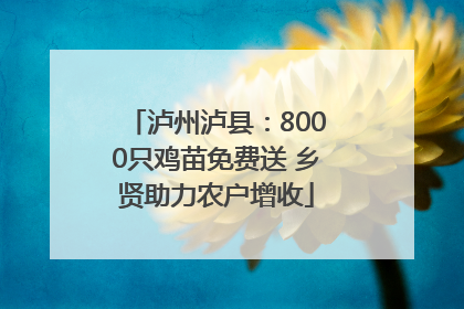 泸州泸县：8000只鸡苗免费送 乡贤助力农户增收