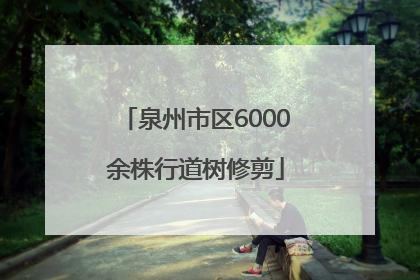 泉州市区6000余株行道树修剪