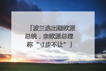 波兰选出疑欧派总统，亲欧派总理称“寸步不让”