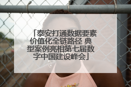 泰安打通数据要素价值化全链路径 典型案例亮相第七届数字中国建设峰会