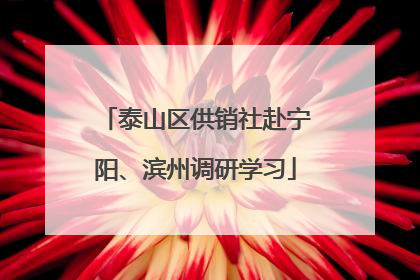 泰山区供销社赴宁阳、滨州调研学习