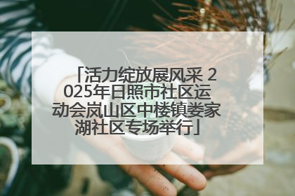 活力绽放展风采 2025年日照市社区运动会岚山区中楼镇娄家湖社区专场举行