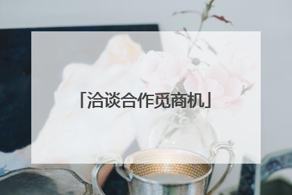 洽谈合作觅商机