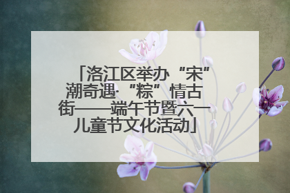 洛江区举办“宋”潮奇遇·“粽”情古街——端午节暨六一儿童节文化活动