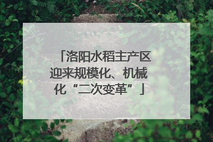 洛阳水稻主产区迎来规模化、机械化“二次变革”