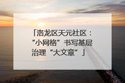 洛龙区天元社区：“小网格”书写基层治理“大文章”