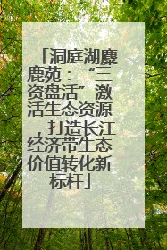 洞庭湖麋鹿苑：“三资盘活”激活生态资源，打造长江经济带生态价值转化新标杆