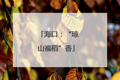 海口：“琼山福稻”香