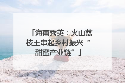 海南秀英：火山荔枝王串起乡村振兴“甜蜜产业链”