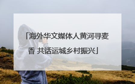 海外华文媒体人黄河寻麦香 共话运城乡村振兴