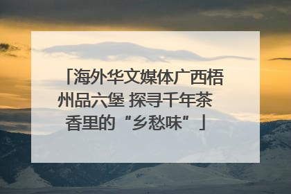 海外华文媒体广西梧州品六堡 探寻千年茶香里的“乡愁味”