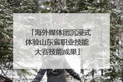 海外媒体团沉浸式体验山东省职业技能大赛技能成果