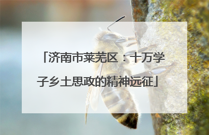 济南市莱芜区：十万学子乡土思政的精神远征