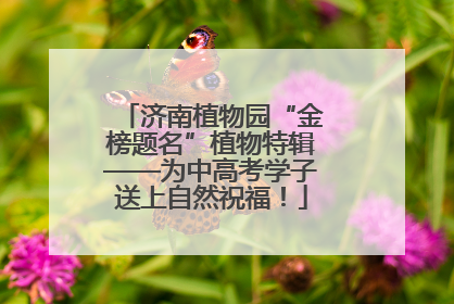 济南植物园“金榜题名”植物特辑——为中高考学子送上自然祝福！