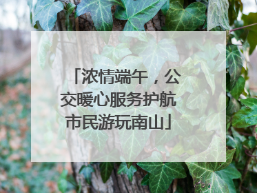浓情端午，公交暖心服务护航市民游玩南山