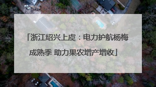 浙江绍兴上虞：电力护航杨梅成熟季 助力果农增产增收