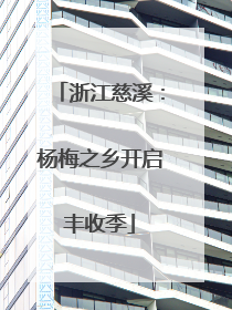 浙江慈溪：杨梅之乡开启丰收季