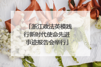 浙江政法英模践行新时代使命先进事迹报告会举行