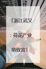 浙江武义：荷花产业助致富