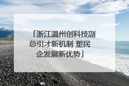 浙江温州创科技副总引才新机制 塑民企发展新优势