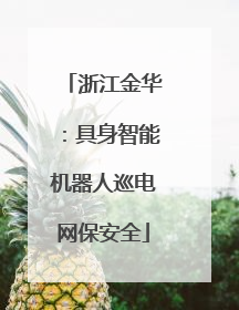 浙江金华：具身智能机器人巡电网保安全
