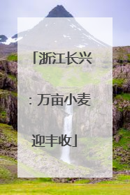 浙江长兴：万亩小麦迎丰收