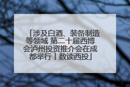 涉及白酒、装备制造等领域 第二十届西博会泸州投资推介会在成都举行丨数读西投