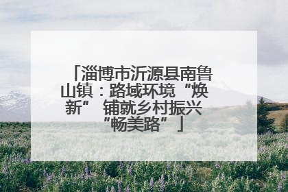 淄博市沂源县南鲁山镇：路域环境“焕新” 铺就乡村振兴“畅美路”