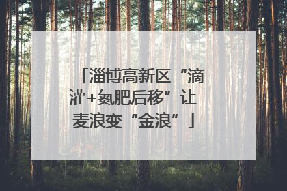 淄博高新区“滴灌+氮肥后移”让麦浪变“金浪”
