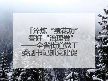 淬炼“绣花功” 答好“治理卷”——全省街道党工委副书记抓党建促基层治理培训示范班侧记