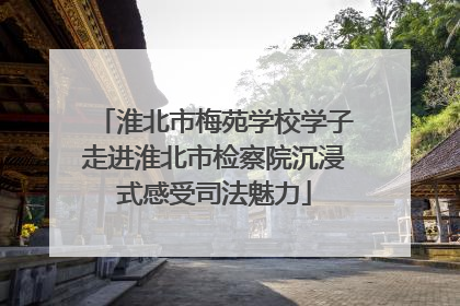 淮北市梅苑学校学子走进淮北市检察院沉浸式感受司法魅力