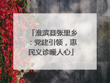 淮滨县张里乡：党建引领，惠民义诊暖人心