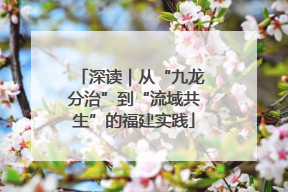 深读｜从“九龙分治”到“流域共生”的福建实践