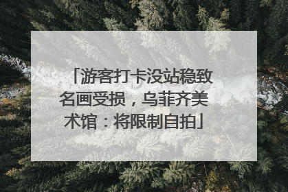 游客打卡没站稳致名画受损，乌菲齐美术馆：将限制自拍