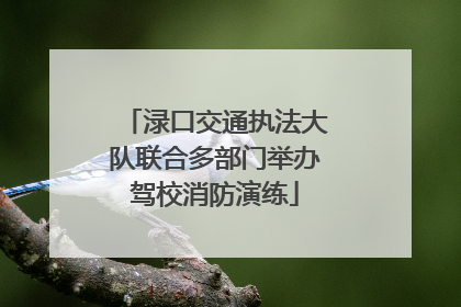 渌口交通执法大队联合多部门举办驾校消防演练