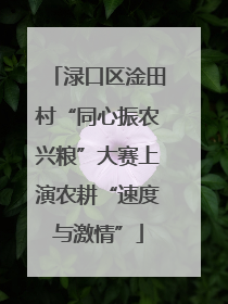 渌口区淦田村“同心振农兴粮”大赛上演农耕“速度与激情”