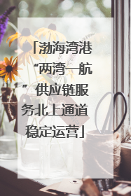 渤海湾港“两湾一航”供应链服务北上通道稳定运营