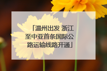 温州出发 浙江至中亚首条国际公路运输线路开通