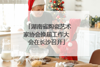 湖南省陶瓷艺术家协会换届工作大会在长沙召开