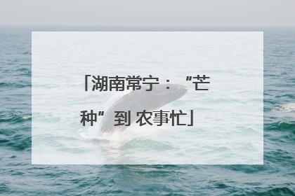 湖南常宁：“芒种”到 农事忙