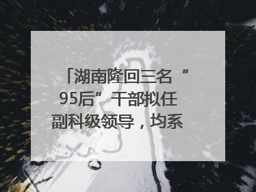 湖南隆回三名“95后”干部拟任副科级领导，均系硕士选调生